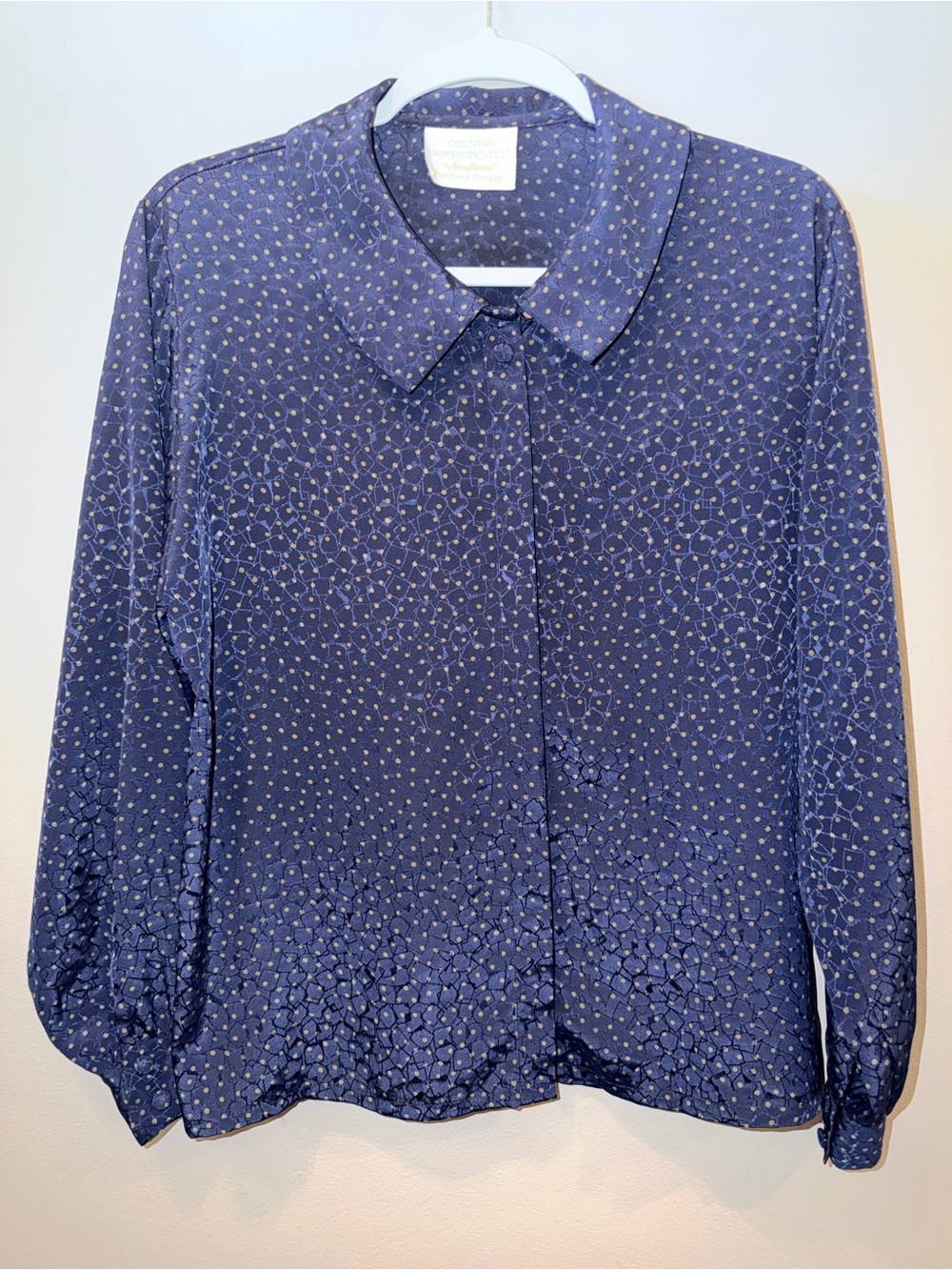 Vintage Country Sophisticates by Pendleton Blue Polka Dot button down academia